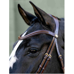 Bridon Kudos Sport LeMieux