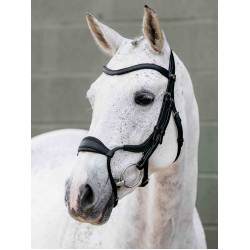 Bridon muserolle Adjustable Anatomic Arika noir/argent LeMieux