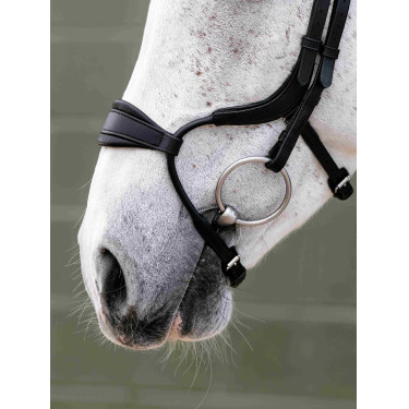 Bridon muserolle Adjustable Anatomic Arika noir/argent LeMieux