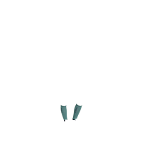 Chaussettes d'équitation LeMieux Sparkle de concours