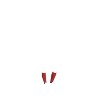 Chaussettes d'équitation LeMieux Sparkle de concours