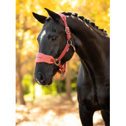 Licol et longe d'équitation LeMieux Vogue Esme