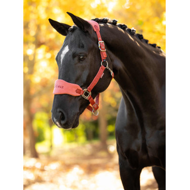 Licol et longe d'équitation LeMieux Vogue Esme