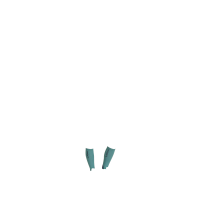 Chaussettes d'Équitation LeMieux Performance
