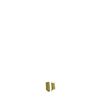 Guêtres d'équitation ventilées LeMieux Arika Mesh
