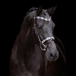 Bridon HV Polo Chaya