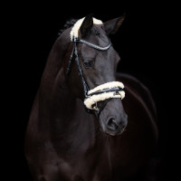 Bridon HV Polo Kate Noir