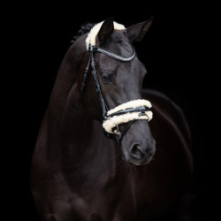 Bridon HV Polo Kate Noir Bridon HV Polo Kate Noir
