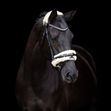 Bridon HV Polo Kate Noir Bridon HV Polo Kate Noir