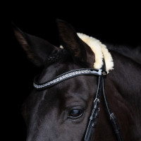 Bridon HV Polo Kate Noir