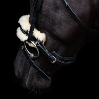 Bridon HV Polo Kate Noir