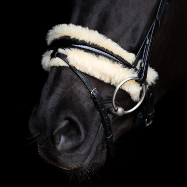 Bridon HV Polo Kate Noir Bridon HV Polo Kate Noir