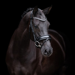 Bridon HV Polo Diana