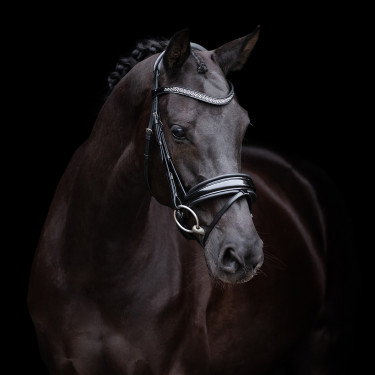Bridon HV Polo Diana