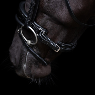 Bridon HV Polo Diana