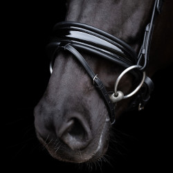 Bridon HV Polo Diana