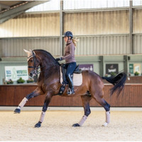 Tapis LeMieux Suede Dressage Square Mink Marron Tapis LeMieux Suede Dressage Square Mink Marron