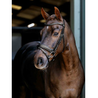 Bridon de dressage Arika LeMieux Bridon de dressage Arika LeMieux