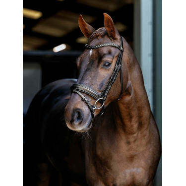 Bridon de dressage Arika LeMieux