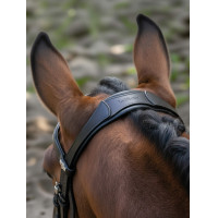 Bridon de dressage Arika LeMieux Bridon de dressage Arika LeMieux