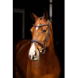 Bridon de dressage Arika LeMieux Marron / argent