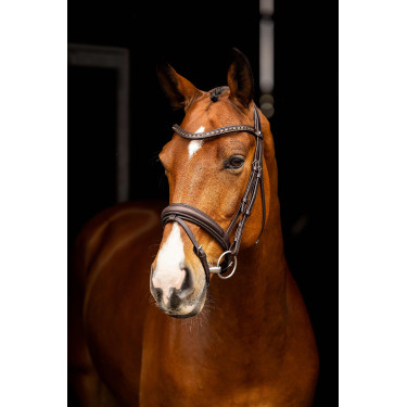 Bridon de dressage Arika LeMieux Marron / argent