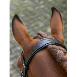 Bridon de dressage Arika LeMieux Marron / argent