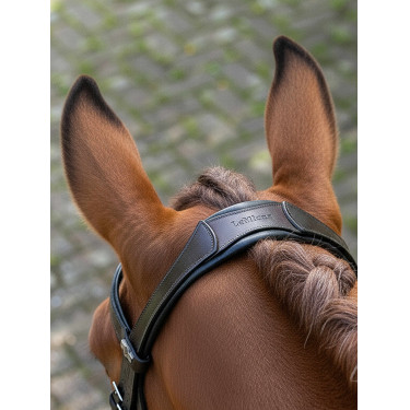 Bridon de dressage Arika LeMieux Marron / argent