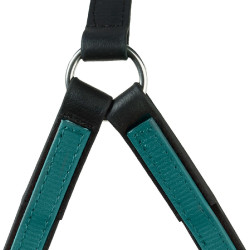 BRICOLE AMERICAINE BETA Vert