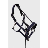 Licol Harcour Bamara Marine Bleu marine Licol Harcour Bamara Marine Bleu marine