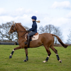 Guêtres LeMieux Carbon Air XC Noir Guêtres LeMieux Carbon Air XC Noir