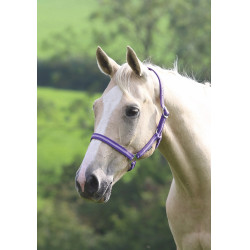 Licol d’équitation Shires Wessex réglable et léger