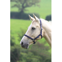 Licol Shires Wessex Marine Bleu marine