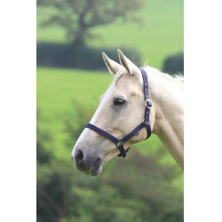 Licol Shires Wessex Marine Bleu marine