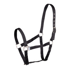 Licol d’équitation Shires Wessex réglable et léger