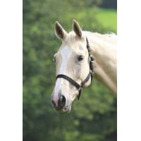 Licol Shires Wessex Noir