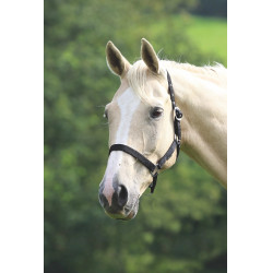 Licol d’équitation Shires Wessex réglable et léger