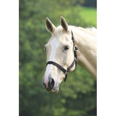 Licol d’équitation Shires Wessex réglable et léger
