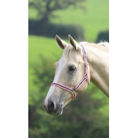 Licol Shires Wessex Rose / marine
