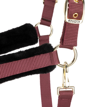 Licol et longe d’équitation Shires ARMA – cheval