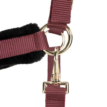 Licol et longe d’équitation Shires ARMA – cheval