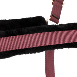 Licol et longe d’équitation Shires ARMA – cheval