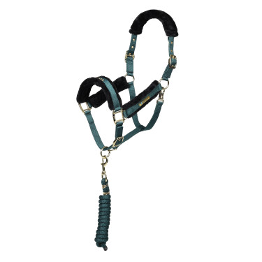 Licol et longe logo Shires Arma Vert Licol et longe logo Shires Arma Vert