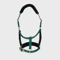Licol et longe logo Shires Arma Vert