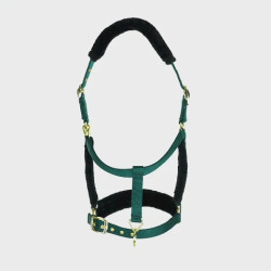 Licol et longe logo Shires Arma Vert Licol et longe logo Shires Arma Vert