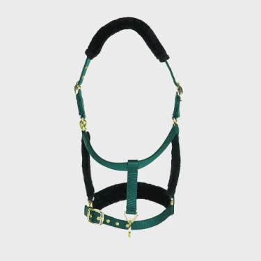 Licol et longe logo Shires Arma Vert Licol et longe logo Shires Arma Vert
