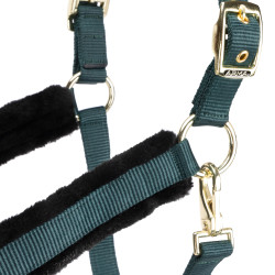 Licol et longe logo Shires Arma Vert Licol et longe logo Shires Arma Vert