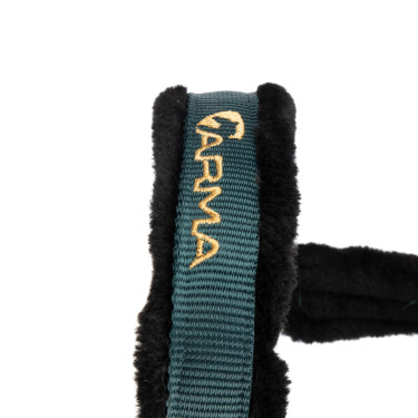 Licol et longe logo Shires Arma Vert Licol et longe logo Shires Arma Vert