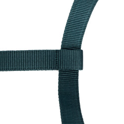 Licol et longe logo Shires Arma Vert Licol et longe logo Shires Arma Vert