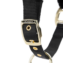 Licol et longe d’équitation Shires ARMA – cheval Licol et longe d’équitation Shires ARMA – cheval